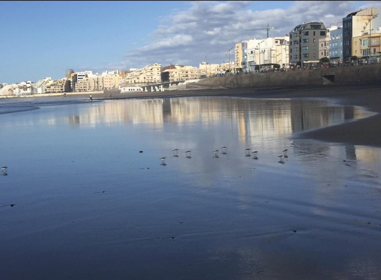 Las Canteras Beach Лас-Пальмас-де-Гран-Канарія Екстер'єр фото